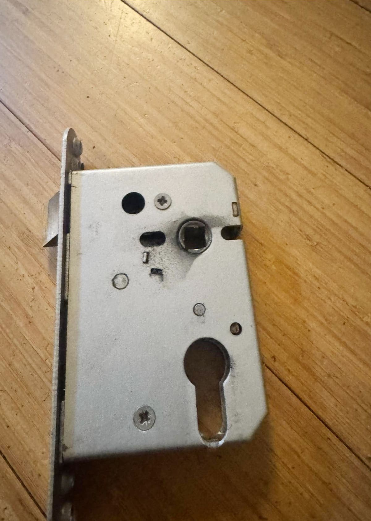 A euro-profile mortice sashlock case